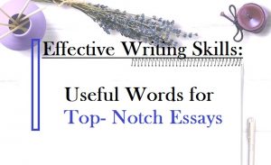 useful words and phrases for top notch essays