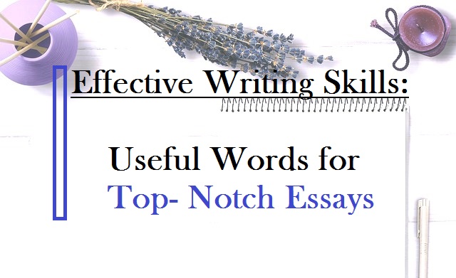 Useful Words and Phrases for Top-Notch Essays