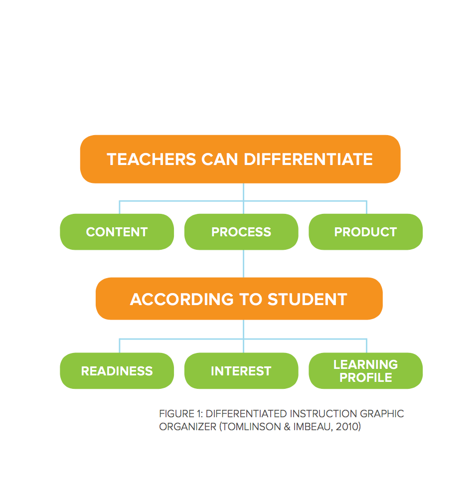 Adapting to Student Needs: An Overview of Differentiated Instruction